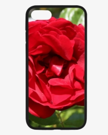 Red Rose Rubber Case For Iphone 7 - Smartphone, HD Png Download, Transparent PNG