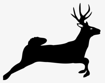Deer Jumping - White Tailed Deer Silhouette, HD Png Download, Transparent PNG