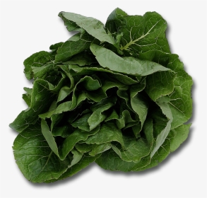 Spinach Png - Name Five Plants That We Eat, Transparent Png, Transparent PNG