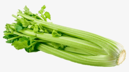 Celery - Celery Png, Transparent Png, Transparent PNG