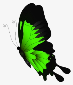 Green Flying Butterfly Png - Red Butterfly Png Transparent, Png Download, Transparent PNG