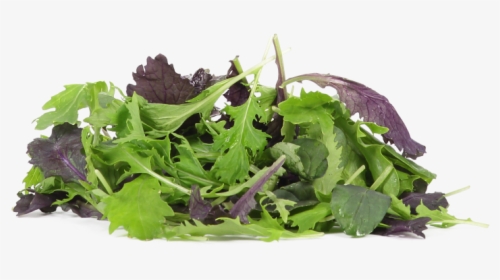 Organic Salad Mix, HD Png Download, Transparent PNG