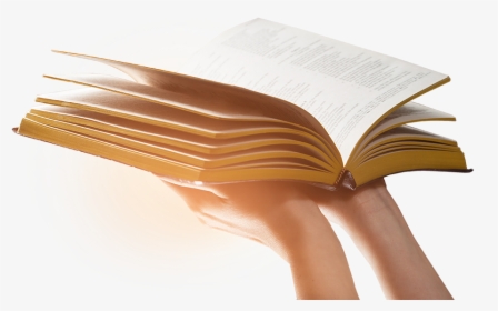 Holding The Open Bible Up - Open Bible Png Transparent, Png Download, Transparent PNG