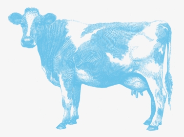 Transparent Dairy Cow Png - Aunt Jean's Dairy, Png Download, Transparent PNG