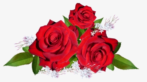 Roses, Red, Flowers, Jasmine, Arrangement, Garden - Gambar Bunga Mawar Dan Melati, HD Png Download, Transparent PNG