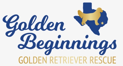 Golden Beginnings Golden Retriever Rescue Header Image - Golden Retriever, HD Png Download, Transparent PNG