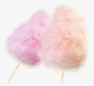 Cotton Candy Download Png Image - Still Life Photography, Transparent Png, Transparent PNG