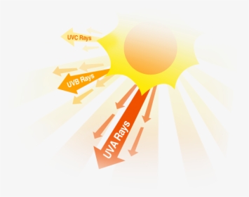 Ultraviolet Light Rays-healthy Lifestyles - Uv Rays Png, Transparent Png, Transparent PNG
