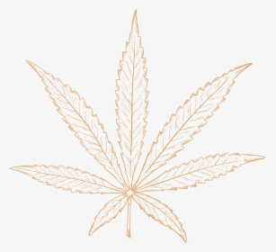 Illustraion Of An Sativa Strain Of Cannabis Plant - Illustration, HD Png Download, Transparent PNG