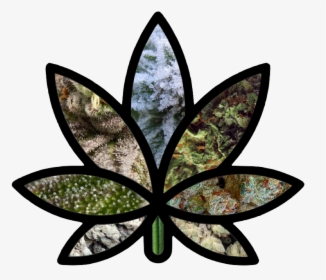 Weed Learn About The - Stained Glass Art Pot Leaf, HD Png Download, Transparent PNG