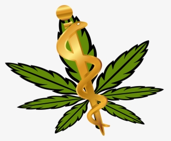Weed Vector, HD Png Download, Transparent PNG