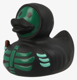 Mallard, HD Png Download, Transparent PNG